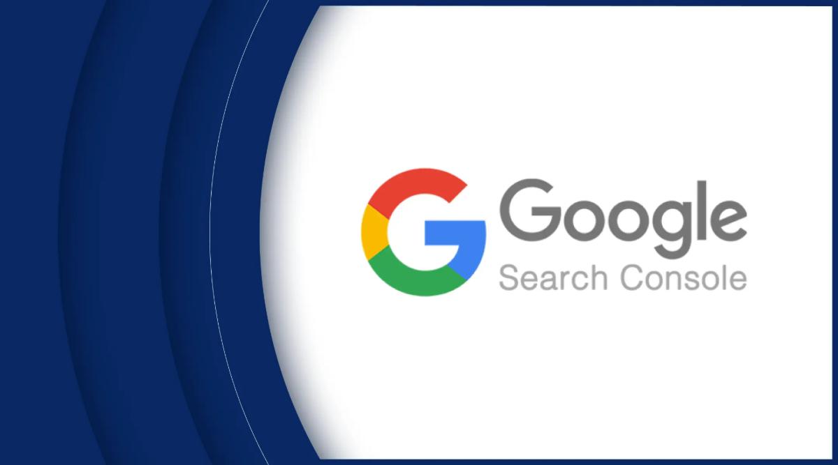 Search Console Results